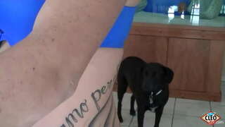 Татуированная prekrasna Its-Cleo voli povlačiti ruku pomoći, kada je velikom člana potrebno je smanjiti stres, čak i više, ako se može dobiti toplu spermu u sise! Tako je sladak! Cijeli video i sve njegove Clea @ ItsCleoLive.com !