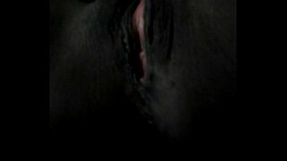 Dreamxxx xogar sagacidade seu bichano